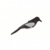 Appelant plastique Fuzyon Pie