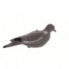 Appelant plastique Fuzyon Pigeon plein floqué