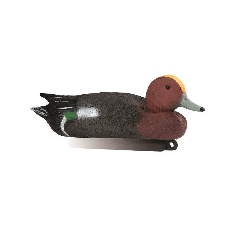Appelant siffleur male Stepland