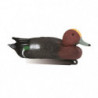 Appelant siffleur male Stepland