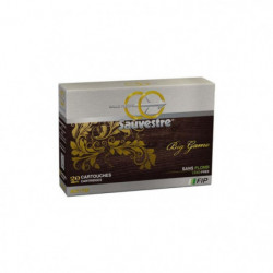 Balles Carabine Sauvestre...